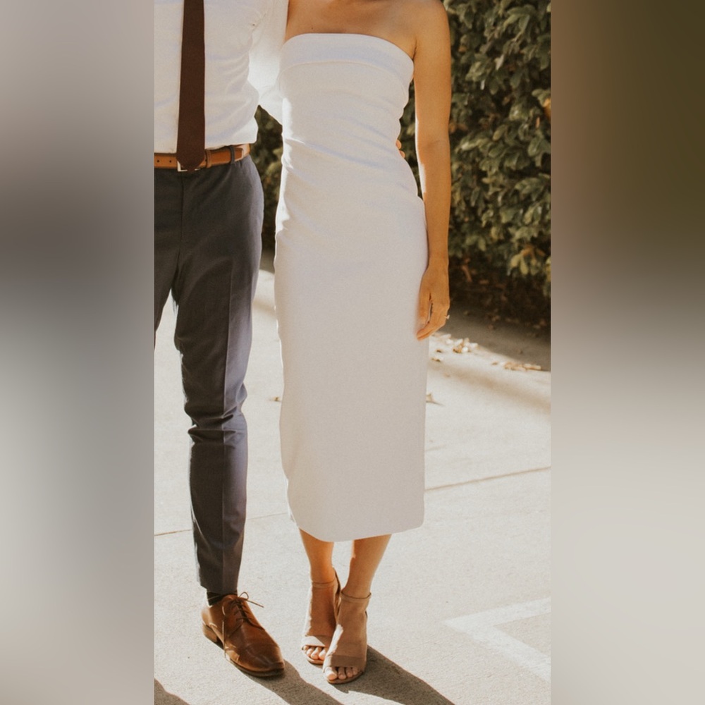 Aritzia Babaton Dress